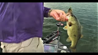 Summertime Bass Fishing Toledo Bend  Greg Hackney  Sportsman TV [upl. by Rivers574]