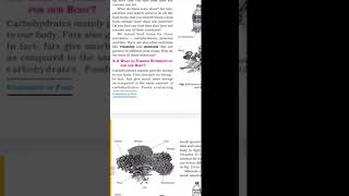 TCS 2021 VI Sci Test of Protein [upl. by Narah]