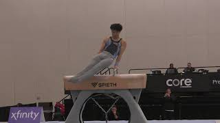 Xander Hong  Pommel Horse  2024 Elite Team Cup [upl. by Shue]