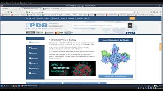 Búsqueda de estructuras 3D para una proteína [upl. by Lyssa]