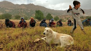 Irans village lifestyle [upl. by Bjorn]