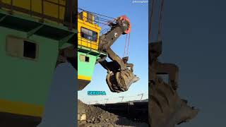 Coal loading excavator machine  shorts youtubeshorts [upl. by Benedikt667]