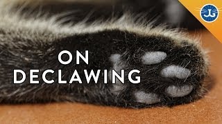 Declawing Jackson Galaxy Just Says No [upl. by Elesig130]