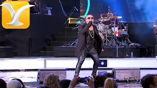 Wisin  Mayor que yo Noche de entierro  Festival de Viña del Mar 2016 HD 1080P [upl. by Brackett329]