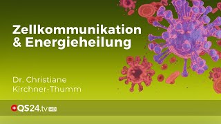 Feinstofflichkeit und Zellkommunikation in der Informationsmedizin  Erfahrungsmedizin  QS24 [upl. by Aelat]