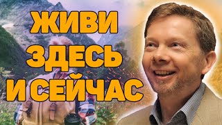 Экхарт Толле «Живи здесь и сейчас» Новая Аудиокнига Экхарта Толле и Никошо [upl. by Kcirret865]