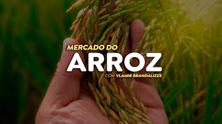 Saca do arroz chega a R120 no RS e preços podem crescer ainda mais na entressafra [upl. by Aedrahs]