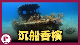 今年被發現的沉船，找出了驚世香檳 粵語中字【酒瓶故事】 [upl. by Yebloc]