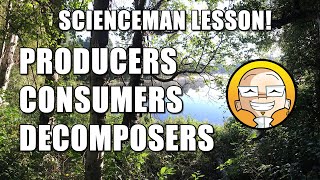 ScienceMan Lesson – Producers Consumers Decomposers [upl. by Nnyltiak611]