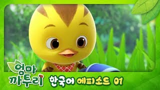 엄마 까투리KATURI 제 1화  엄마는 다 알아 [upl. by Methuselah]