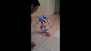 NAO Robot soccer trick [upl. by Etyam]