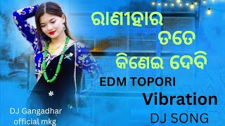 Rani hara Tate Kinei Debi Odia EDM TOPORI Vibration DJ Song MP3 [upl. by Bromleigh]