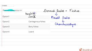 Placoid scales occur in [upl. by Neelsaj173]