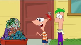 Aglet  Phineas and Ferb [upl. by Hillier14]