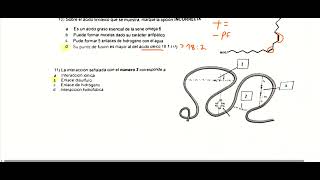 Bases Biomoleculares I  Parcial Prototipo B Resolución de estudiante [upl. by Nylyak278]