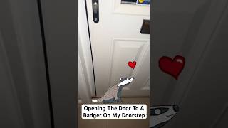 Opening The Door To A Badger On My Doorstep 🦡 [upl. by Pritchett]