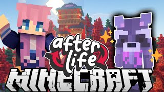 🦝Raccoon Powers 🦝 Ep 1  Afterlife Minecraft SMP [upl. by Breed249]