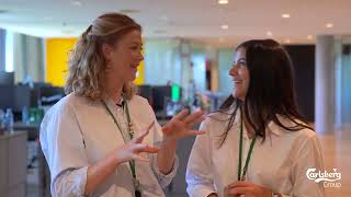 Meet Commercial Graduates Elena amp Ottilia explaining what its like to work at Carlsberg Group [upl. by Trill833]