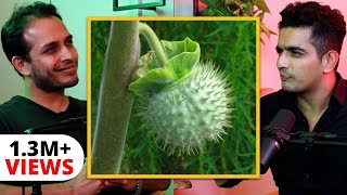 “The Most DANGEROUS Drug In The World  Datura”  Neurologist Sidwarrier Explains [upl. by Wescott870]