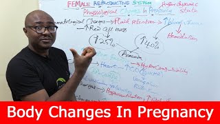 Physiological Changes In Pregnancy [upl. by Denna]