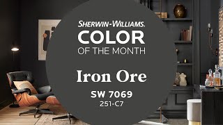 March 2022 Color of the Month Iron Ore  SherwinWilliams [upl. by Ammej]