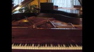 George Gershwin plays quotNovelette In Fourthsquot on Welte piano roll [upl. by Ecidnak185]