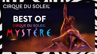 The Best of Mystère  Cirque du Soleil [upl. by Vigen598]