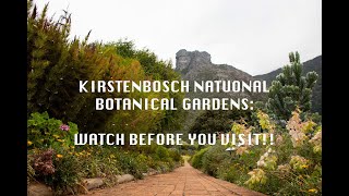 KIRSTENBOSCH BOTANICAL GARDENS  WATCH BEFORE YOU VISIT [upl. by Ydisahc]