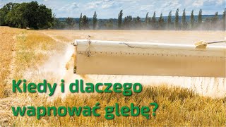 Kiedy i dlaczego wapnować glebę [upl. by Wrand]