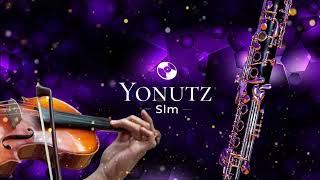 Instrumentala Sistem 🎵 Clarinet si Vioara 2023 YonutzSlm [upl. by Aniloj]