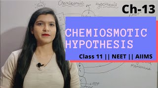 Ch13 Photosynthesis L04 Chemiosmotic Hypothesis  Class 11  NEET  AIIMS [upl. by Saint]