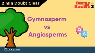 Angiosperms Vs Gymnosperms  Quick 2 min Comparison  Basic Concept  Slate and Pencil [upl. by Akinehc]