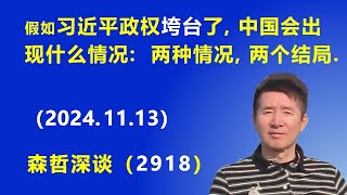 假如习近平政权垮台了，中国会出现什么情况：两种情况，两个结局 20241113 《森哲深谈》 [upl. by Ecam]