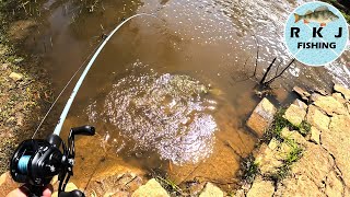 Spinnerbait fishing for golden perch at the Elmore Weir [upl. by Ariana942]