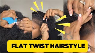 2 flat twist  Quick and easy hairstyle  Natural hair [upl. by Dib825]