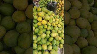 Makurdi Fruit Market  Mdevaan  100shorts2024 [upl. by Aicilic]