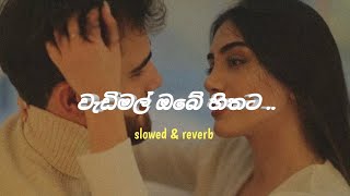 වැඩිමල් ඔබේ හිතට  slowed amp reverb  ofyy slowedandreverb music [upl. by Aras]