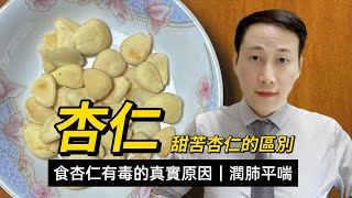 杏仁，潤肺平喘，營養功效和注意，部分有毒部分甜，噉樣煮法最安全 [upl. by Gefell273]