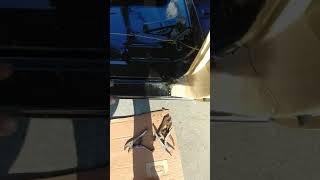 Rocker panel replacement suburban c10 Squarebody body work [upl. by Esilahc]