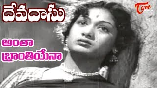 ANR Old Hits  Devadasu Movie  Antha Bhranthiyena Song  ANR  Savitri  OldSongsTelugu [upl. by Ahsienar580]