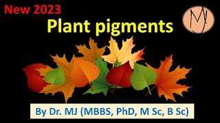 Pigments plants chlorophylls carotenoids flavonoids betalains phytochromes DoctorTutors [upl. by Mateusz]