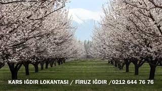 Kars Iğdır Lokantası  Firuz Iğdır [upl. by Hoebart607]