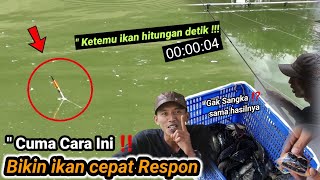 Cara bikin umpan ikan mas dasaran full amis‼️ dalam hitungan detik ikan cepat respon‼️ langsung test [upl. by Eloken]