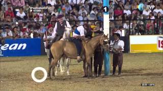 Jineteada en la octava noche del Festival de Jesús María 2016 Tanda 2 [upl. by Durwin]