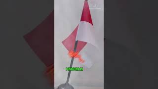 Berapa Macam Ukuran dan Penempatan Kegunaan Bendera Merah Putih [upl. by Refitsirhc740]