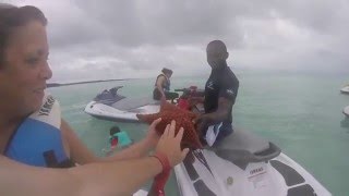 WaveRunner in Great Stirrup Cay [upl. by Otineb191]