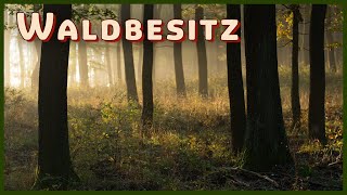 Wem gehört der Wald in Deutschland Waldbesitzarten leicht erklärt [upl. by Emalia]