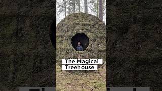 The Most Unique Treehouse in the World‼️ [upl. by Enilrahc]