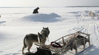 Счастливые люди  Енисей  Зима серия 4  Дмитрий Васюков [upl. by Llennahc]