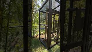 Pacific Palisades Catio [upl. by Jagir]